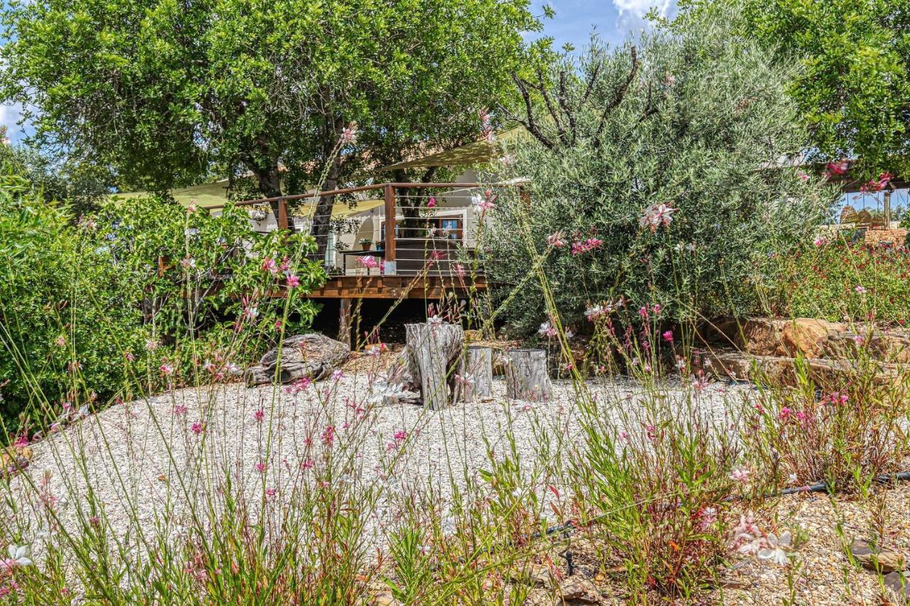 Figs On The Funcho Self Catering - A River Side Location Pedreiras  Dış mekan fotoğraf
